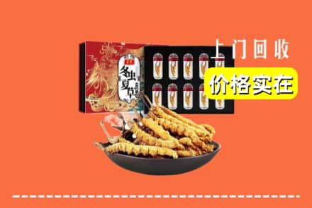 卢湾区回收冬虫夏草